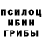 Псилоцибиновые грибы Psilocybine cubensis Anjuja Guder