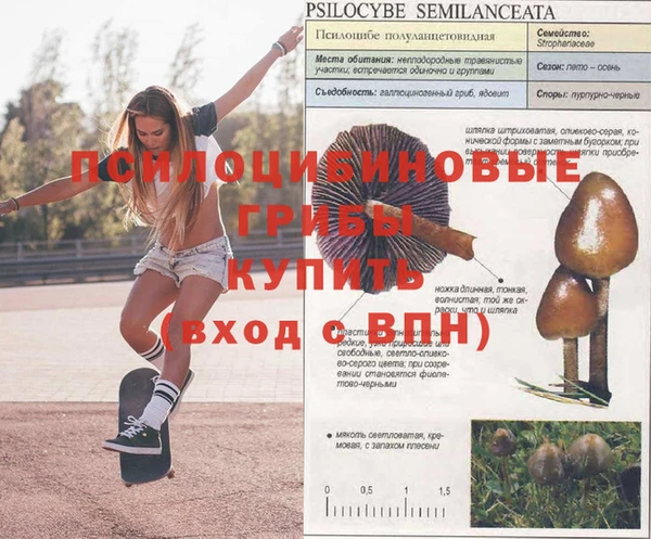 гашиш Алзамай
