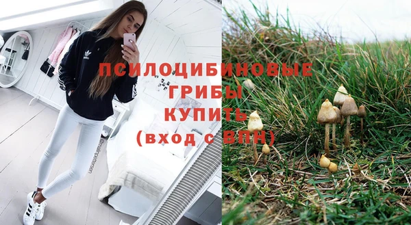 гидра Алексин