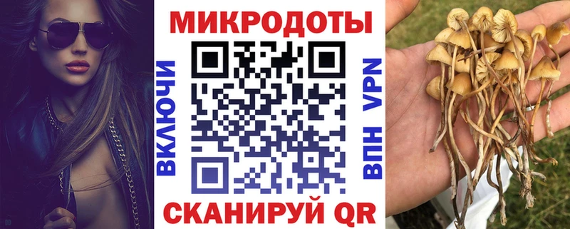 где можно купить Дюртюли Галлюциногенные грибы ЛСД